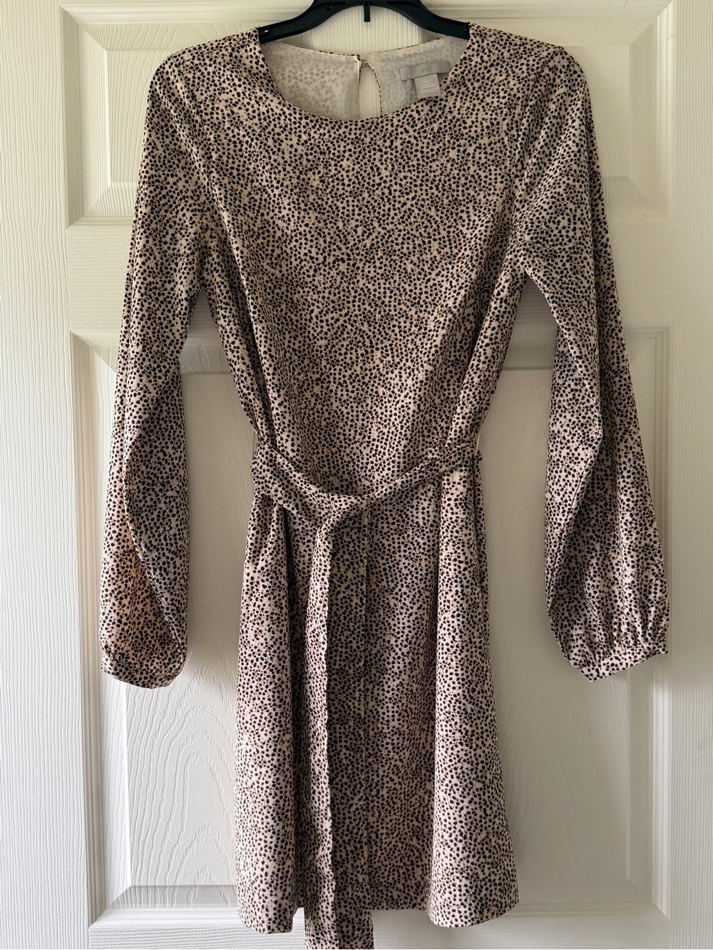 Beige Long Sleeve animal Print Dress